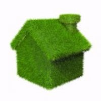 Green grassed house