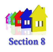 section 8