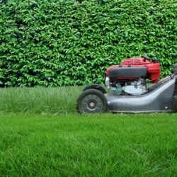 Lawnmowers – do landlords have to provide them?