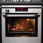 a picture of an oven with a roast chicken inside