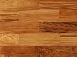 Can Edinburgh Council ban Wooden floors in my HMO?
