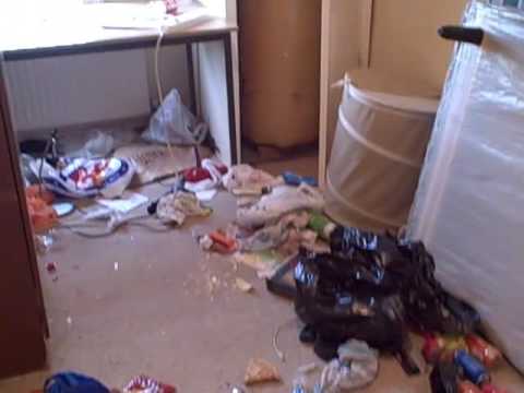 My tenant is trashing my house!!