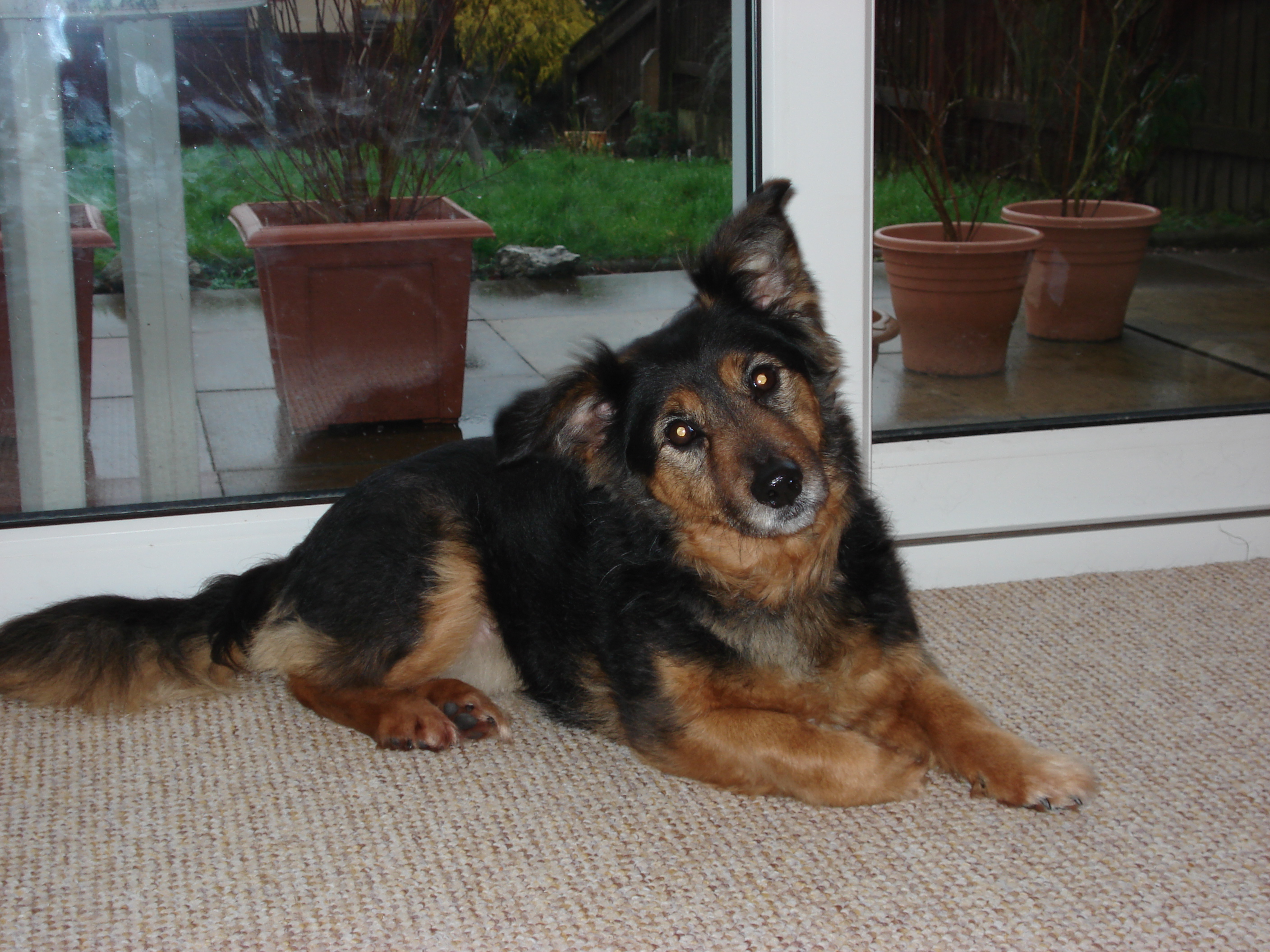 Tracey Newbie Landlord