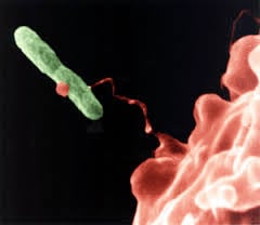 Legionella Risk Assessment – I wasn’t aware!