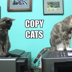 Beware BICT Copycats