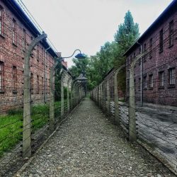 An Apology to Auschwitz Memorial @AuschwitzMuseum