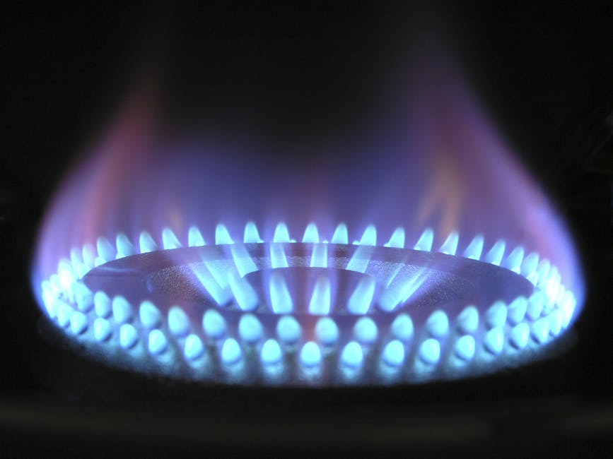 Social Landlord not prosecuted despite mass gas safety breaches!