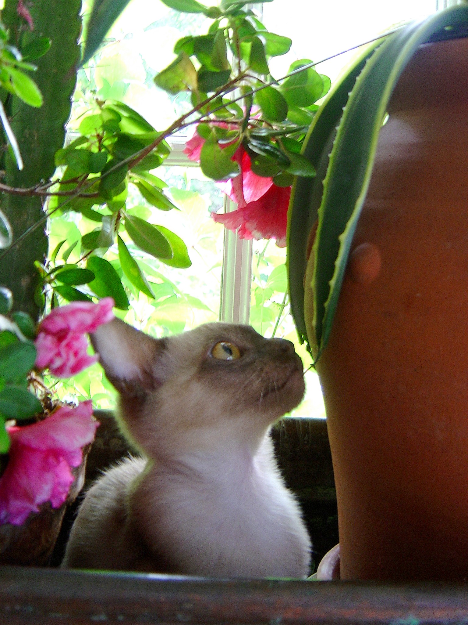 jennie.underwood@outlook.com