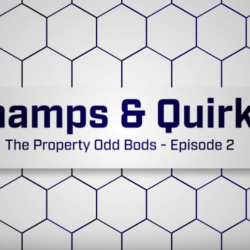 Shamps and Quirky the property odd bods