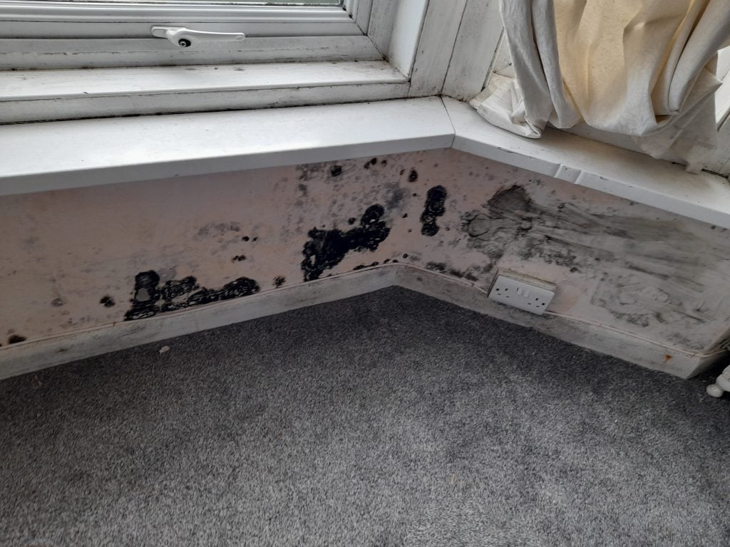Mould after grant funded insulation?