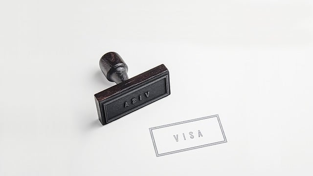 Spouse/Partner Leave to Remain visa?