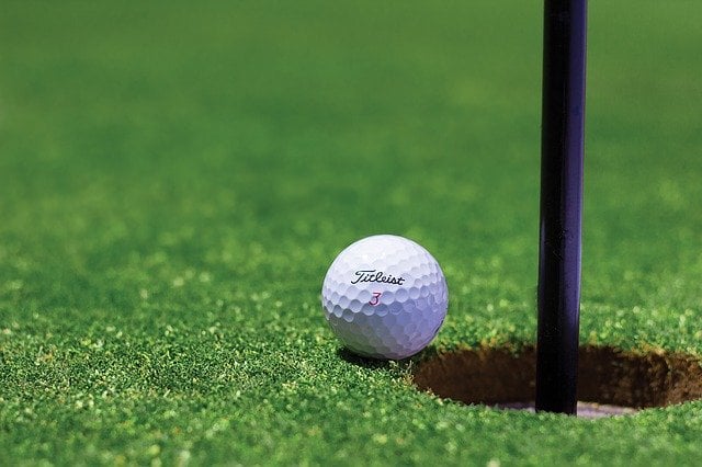 Holiday let to be taken over by golf club?