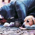 tenants’ fear becoming homeless agents landlords property118.com