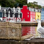 landlord news scotland short term lets poperty118.com