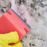 black mould in a rented property being cleaned property118.com
