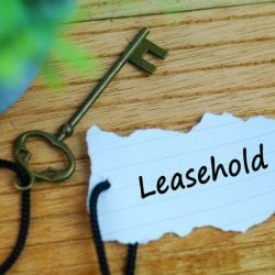 Help with choosing leasehold property?