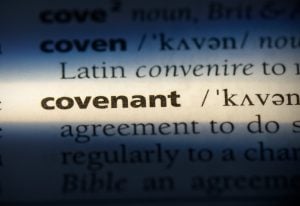 covenant explanation deed of property118.com