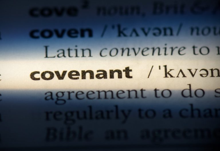 covenant explanation deed of property118.com