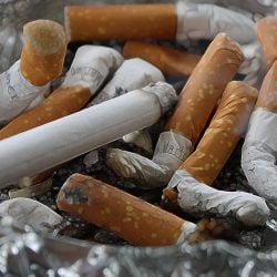 Past tenants admit to smoking in property?