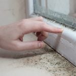 tenant with condensation, mould, damp, landlord, sueing property118