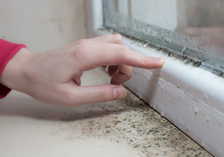 tenant with condensation, mould, damp, landlord, sueing property118