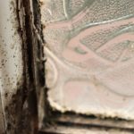 Pic of mould on bathroom window why blame landlords property118