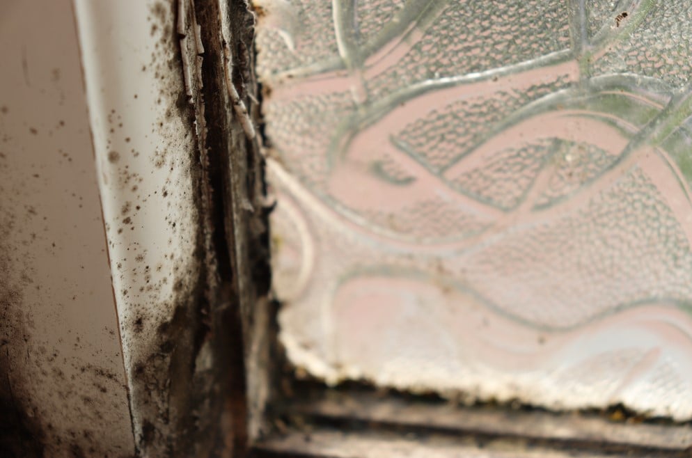 Damp and mould – why blame landlords?