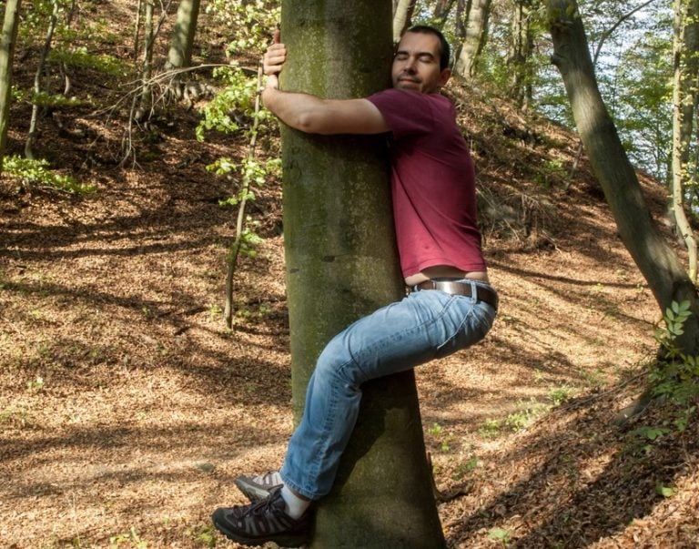 pic of man hugging a tree greens want a rent freeze and evictions ban property118