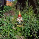 Overgrown garden with gnome, Property118