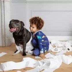 Can children and pets be prohibited when offering residential property for let?