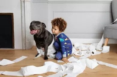 Can children and pets be prohibited when offering residential property for let?