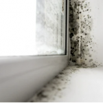 Black mould growing on a window frame in a damp home.