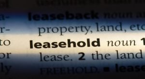 Pic of leasehold word and explanation property118