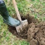 pic of a man digging a hole as shelter condemns section 21 eviction record