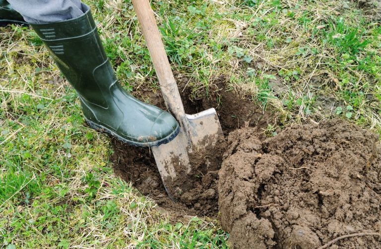 pic of a man digging a hole as shelter condemns section 21 eviction record