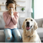 Child sneezing indoors while a dog sits nearby, illustrating concerns about pet allergies for landlords