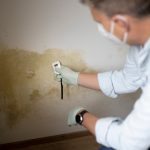pic of damp and mould in a social housing home being checked property118