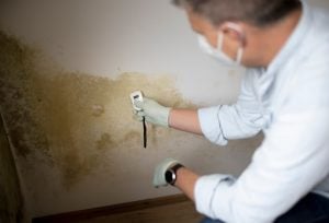 pic of damp and mould in a social housing home being checked property118