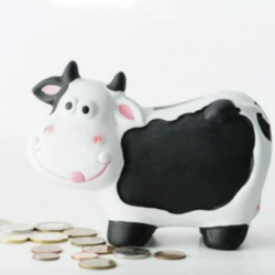 Local authorities are using selective licensing as a ‘cash cow’ – Special Report