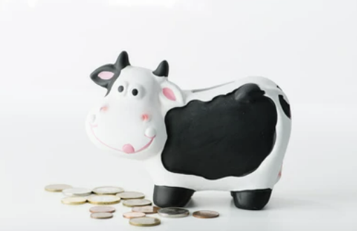 Local authorities are using selective licensing as a ‘cash cow’ – Special Report