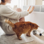 electric heating, gas shortage supply this winter, gas rationing