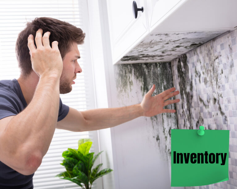 Landlord inspecting mold damage on kitchen wall after tenant negligence