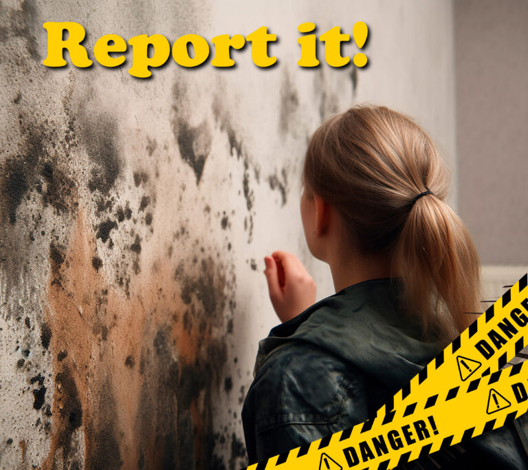 Tenant inspecting severe damp and mould on a wall, urging residents to report housing issues.