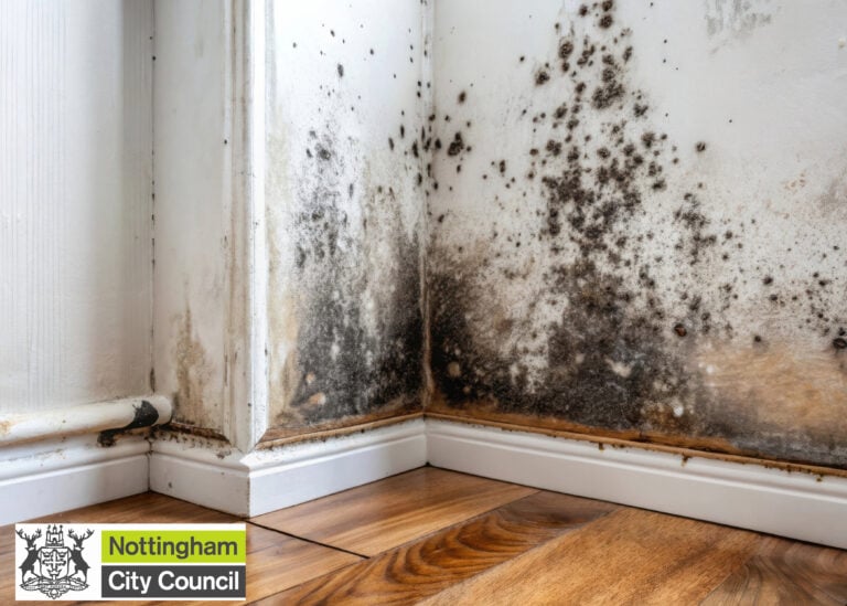 Black mould spreading on damp wall and skirting board in a Nottingham home.