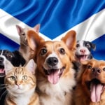 Happy dogs and a cat in front of the Scottish flag representing pet policy changes in Scottish Housing Bill