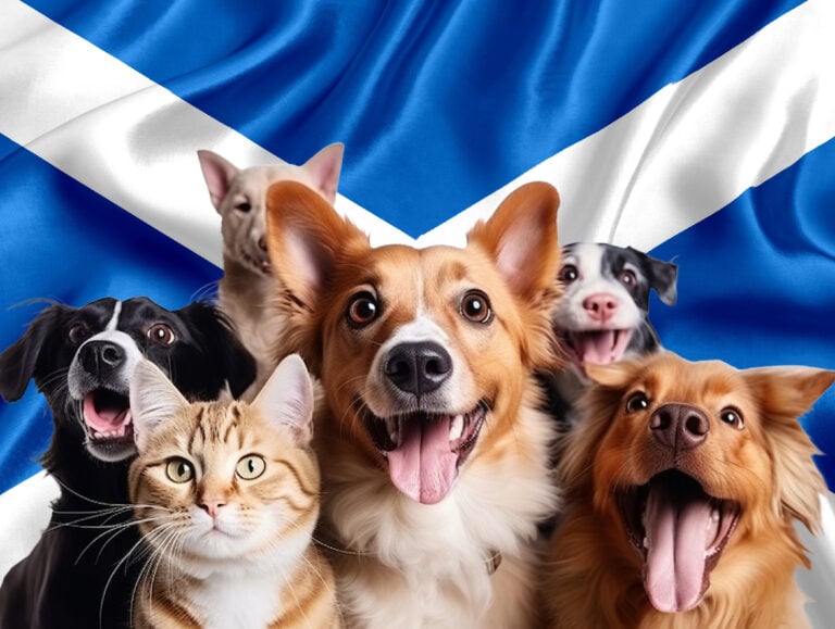 Happy dogs and a cat in front of the Scottish flag representing pet policy changes in Scottish Housing Bill