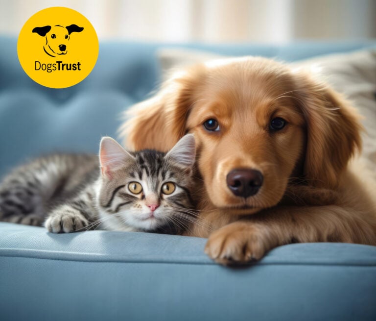 Dog and cat cuddling on a sofa, supporting Dogs Trust campaign for pet rights in social housing