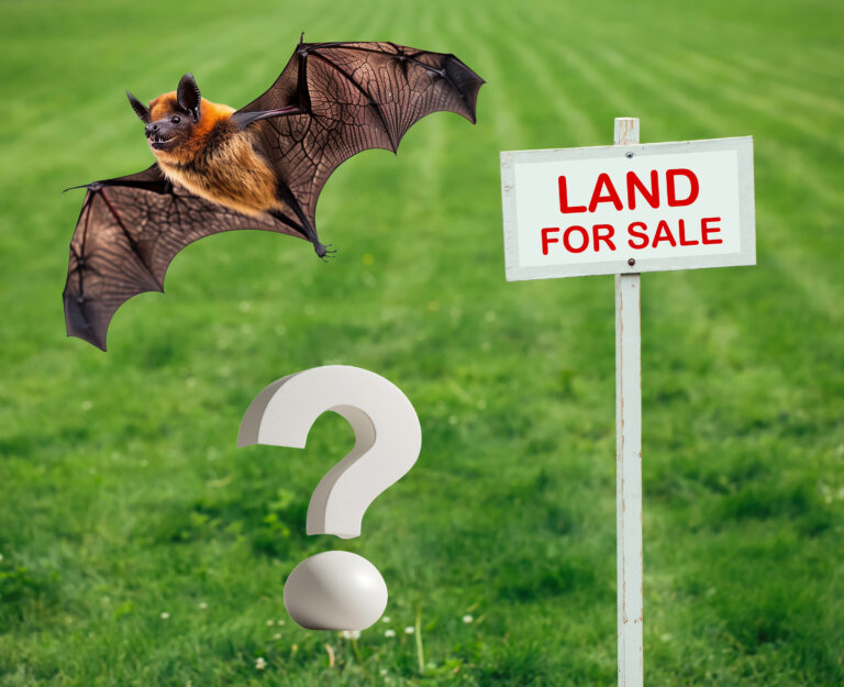 Bat flying over grass field with land for sale sign and question mark