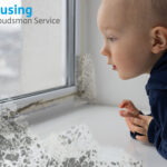 Young child looking out a mouldy window, highlighting dangers of damp housing