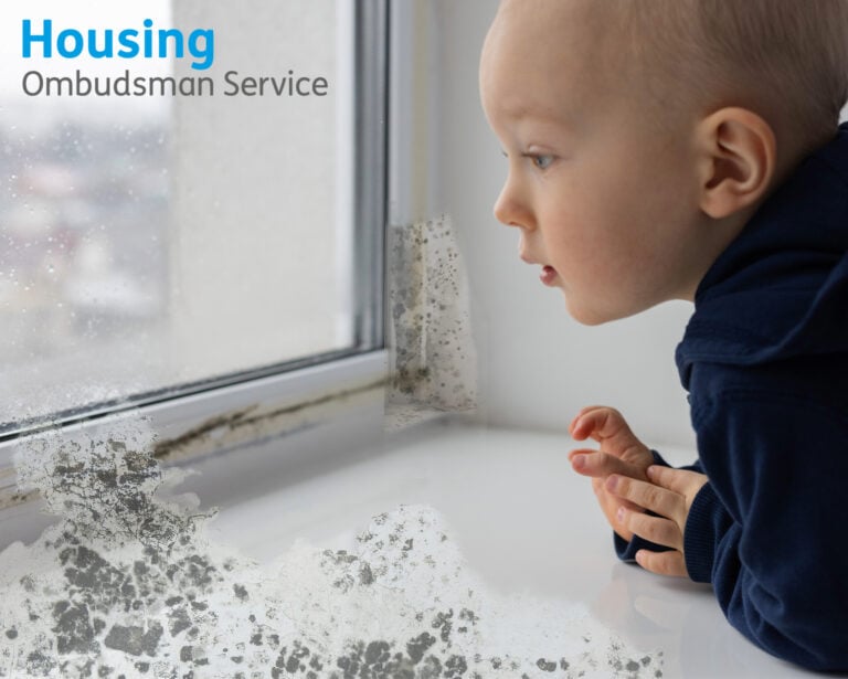 Young child looking out a mouldy window, highlighting dangers of damp housing
